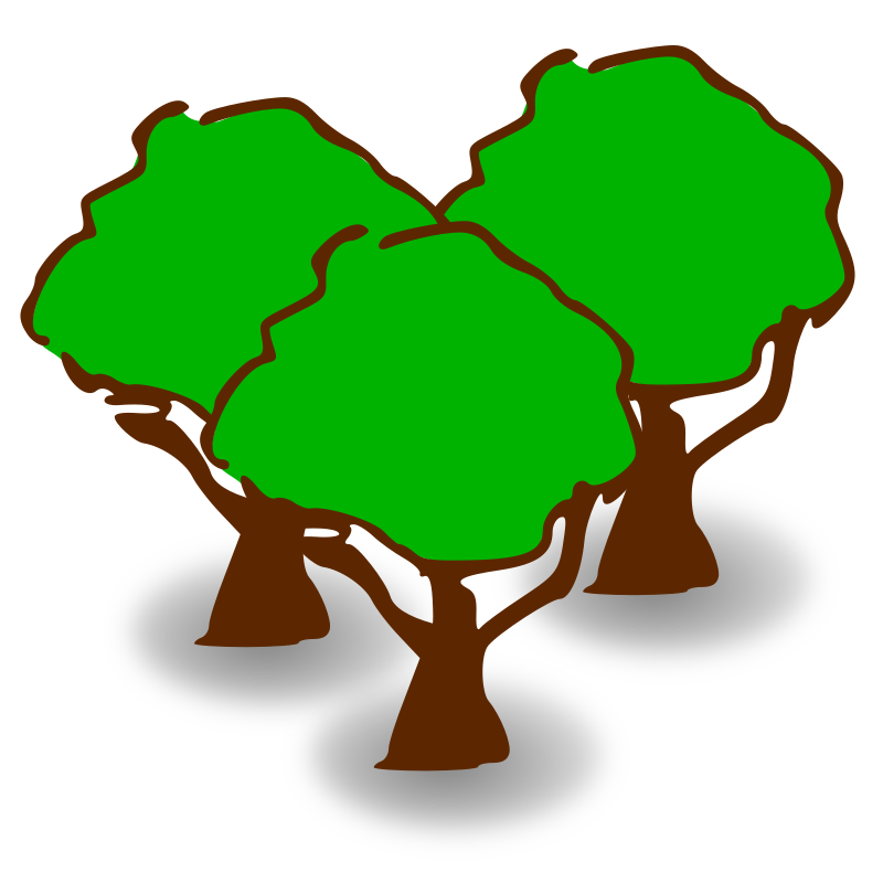 Forest Icon Transparent Forestpng Images Vector Freeiconspng Images