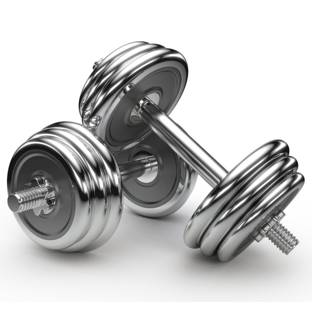 https://www.freeiconspng.com/uploads/galleries-related-gym-png--gym-icon-vector--33.png