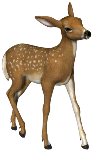 Gazelle 3d Animal Png Transparent Background Free Download 22318 Freeiconspng