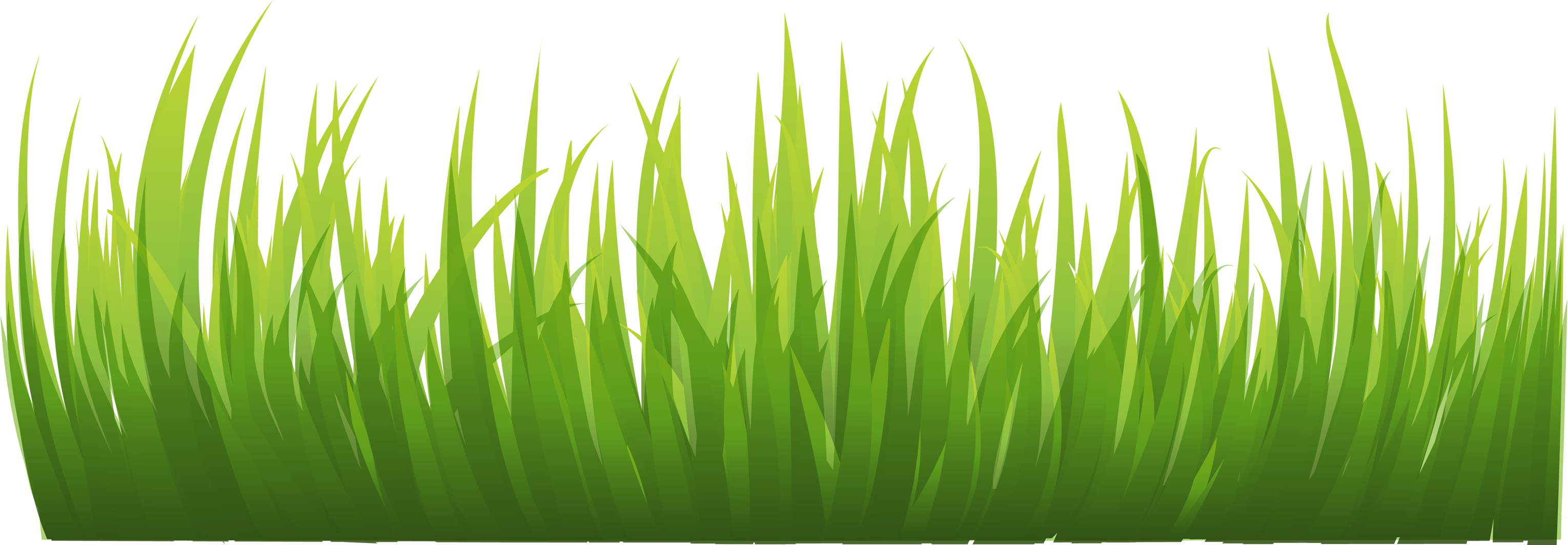 Grass png image, green grass png picture #44856 - Free Icons and PNG