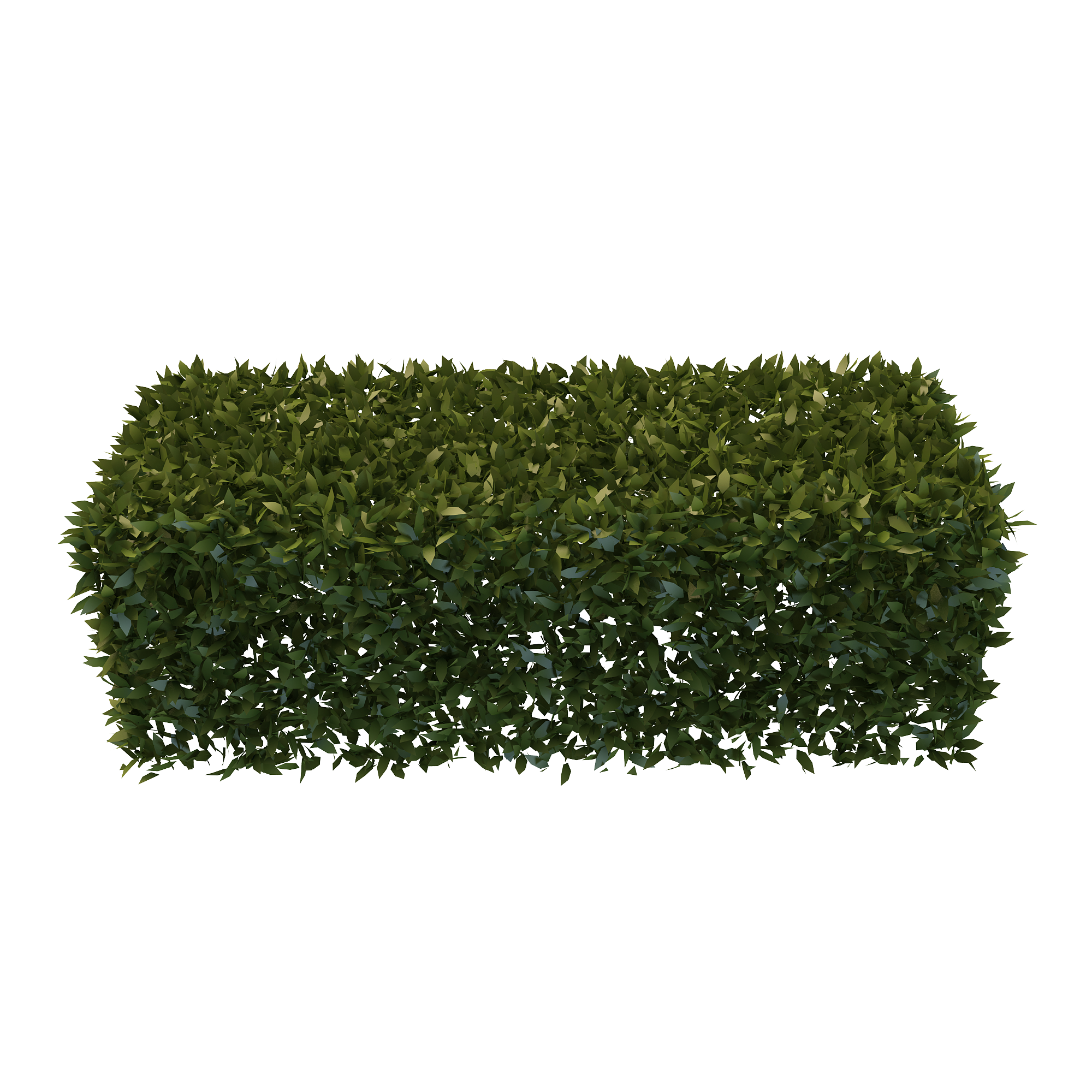 Hedges Free Download PNG Transparent Background, Free Download