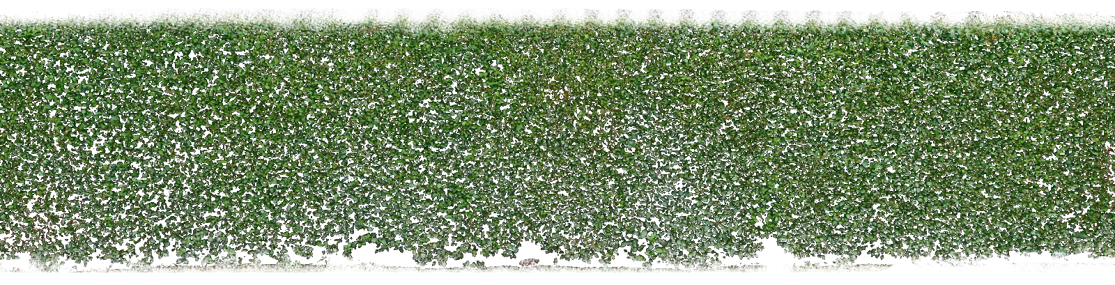 background hedges hd png transparent background free download 32450 freeiconspng background hedges hd png transparent