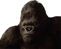 King Kong Gorilla PNG Transparent Background, Free Download #37888 ...