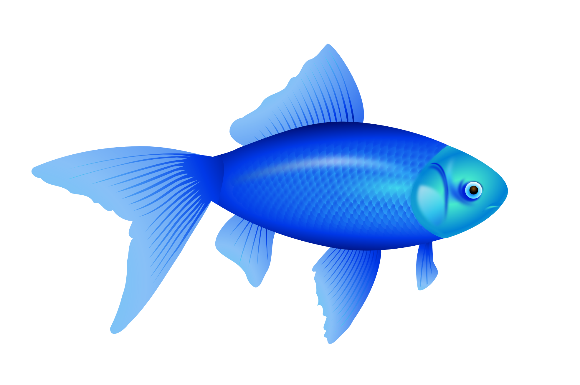 Little Blue Fish PNG Transparent Background, Free Download #26330