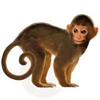 Free Download Monkey Images Png Transparent Background Free Download 26159 Freeiconspng
