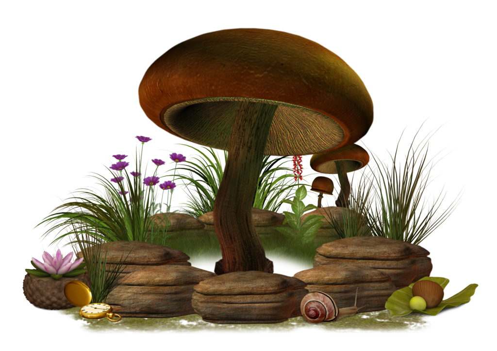 Mushroom Transparent PNG Pictures - Free Icons and PNG Backgrounds