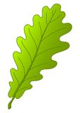 Icon Oak Tree PNG Transparent Background, Free Download #16495 ...