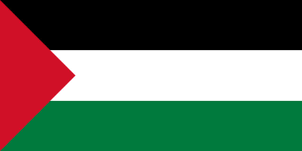 Browse And Download Palestine Flag Pictures PNG Transparent Background ...