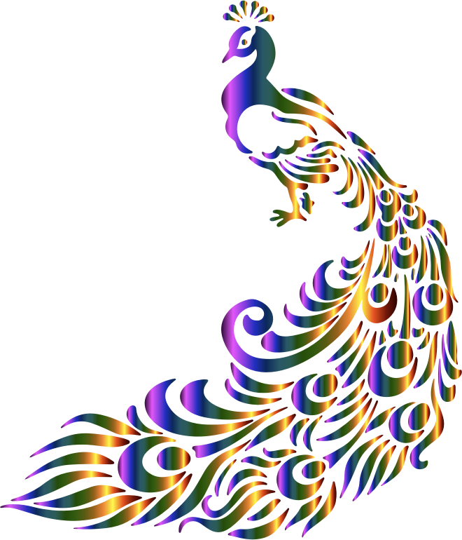 Browse And Download Peacock Pictures PNG Transparent Background, Free