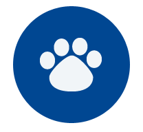 Animal Icon, Transparent Animal.PNG Images & Vector - FreeIconsPNG