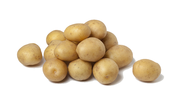 Potato Free Vector Download PNG Transparent Background, Free Download ...