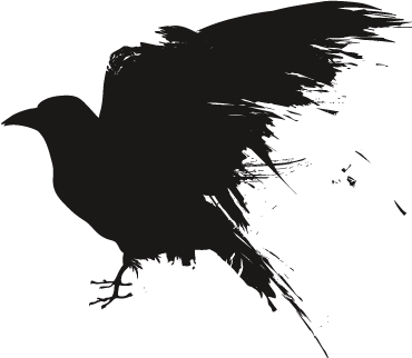 Raven Photo Png Transparent Background Free Download 32691 Freeiconspng