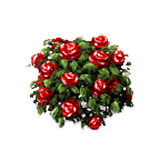 Bushes PNG, Bushes Transparent Background - FreeIconsPNG