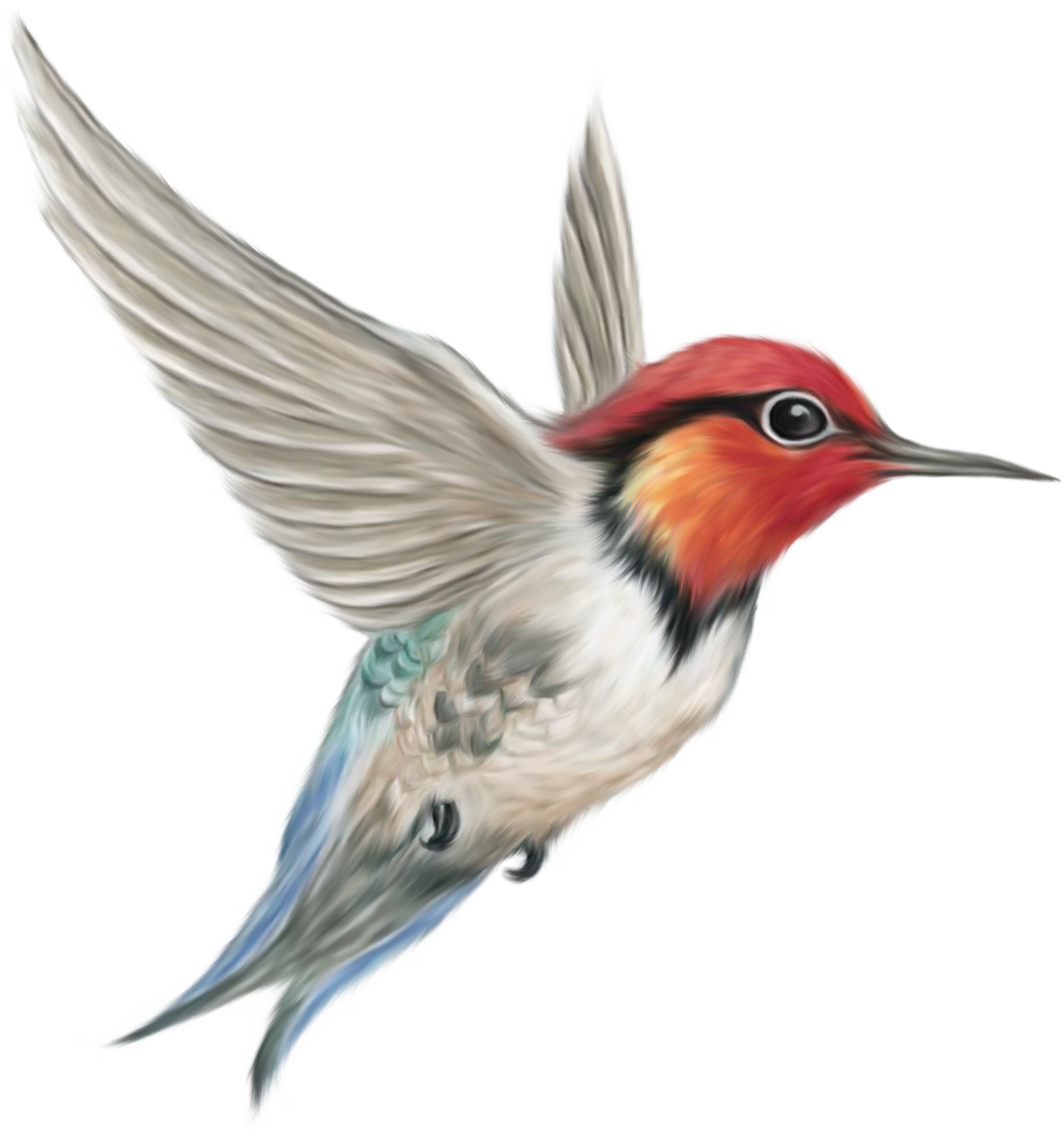 oiseau clipart free