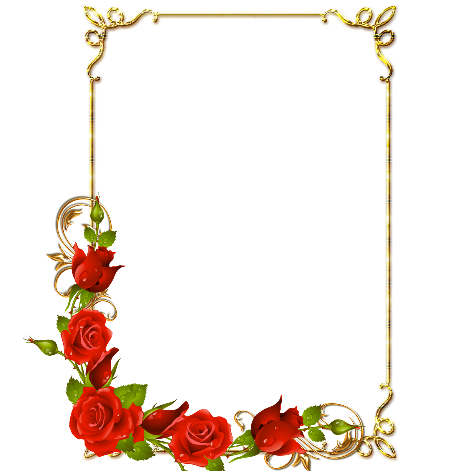 Rose Photo Frame Png Transparent Background Free Download 24574 Freeiconspng