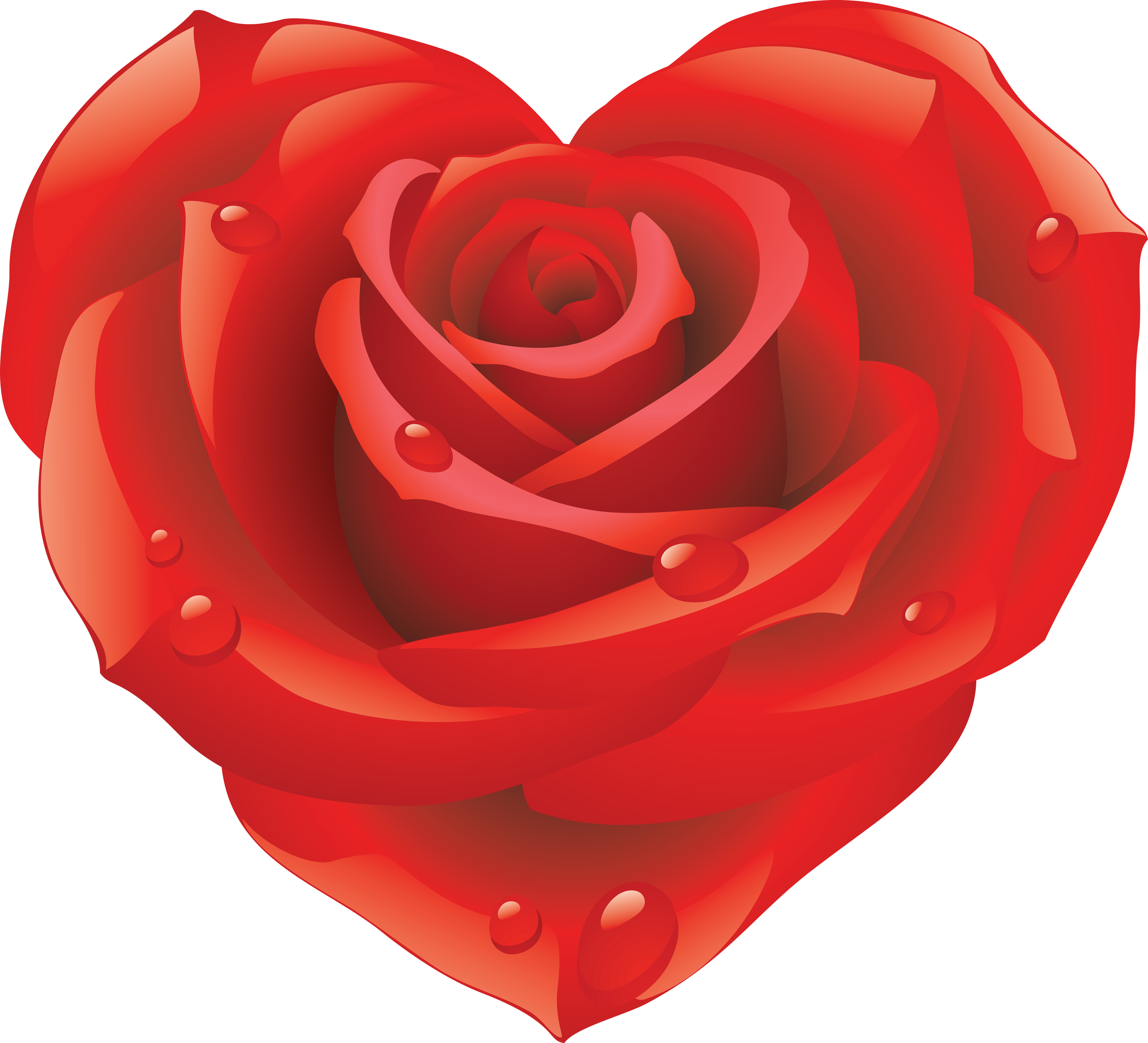 Rose PNG, Rose Transparent Background - FreeIconsPNG