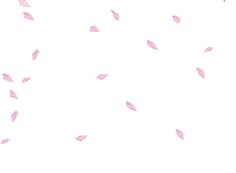 Sakura Petals PNG, Sakura Petals Transparent Background - FreeIconsPNG