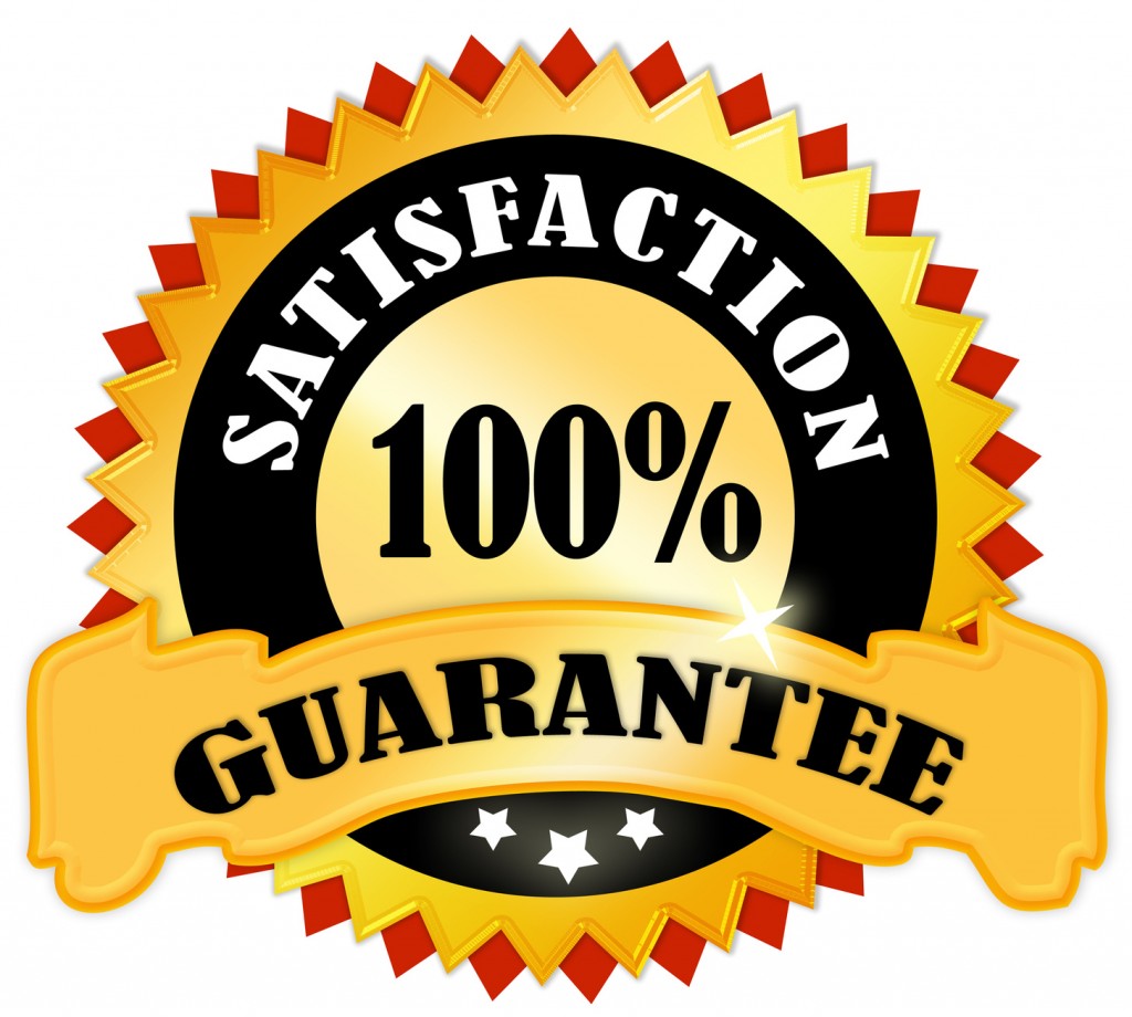 Satisfaction Icon, Transparent Satisfaction.PNG Images & Vector ...