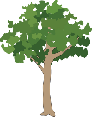 Small Tree Icon, Transparent Small Tree.PNG Images & Vector - FreeIconsPNG