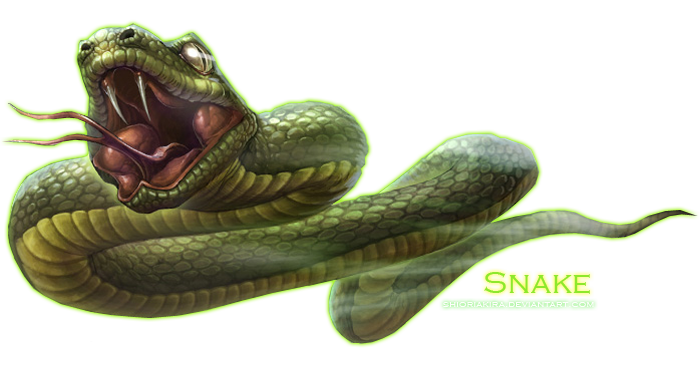 Snake Green PNG Transparent Background, Free Download #3643 - FreeIconsPNG
