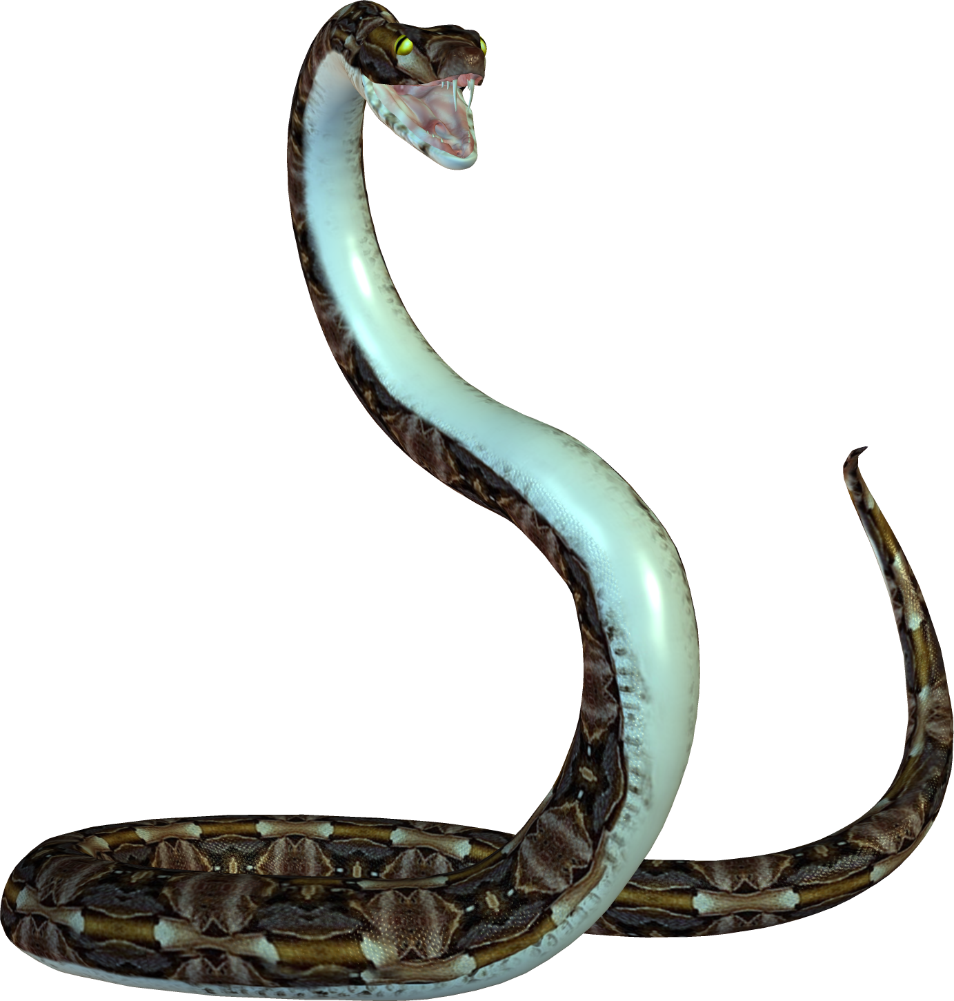 Picture Download Snake PNG Transparent Background, Free Download #3629 ...