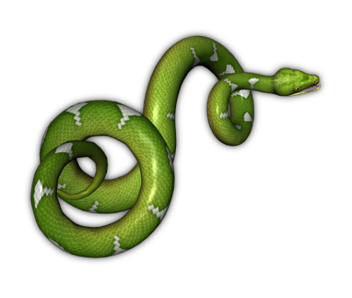 Snakes PNG Transparent Background, Free Download #3642 - FreeIconsPNG