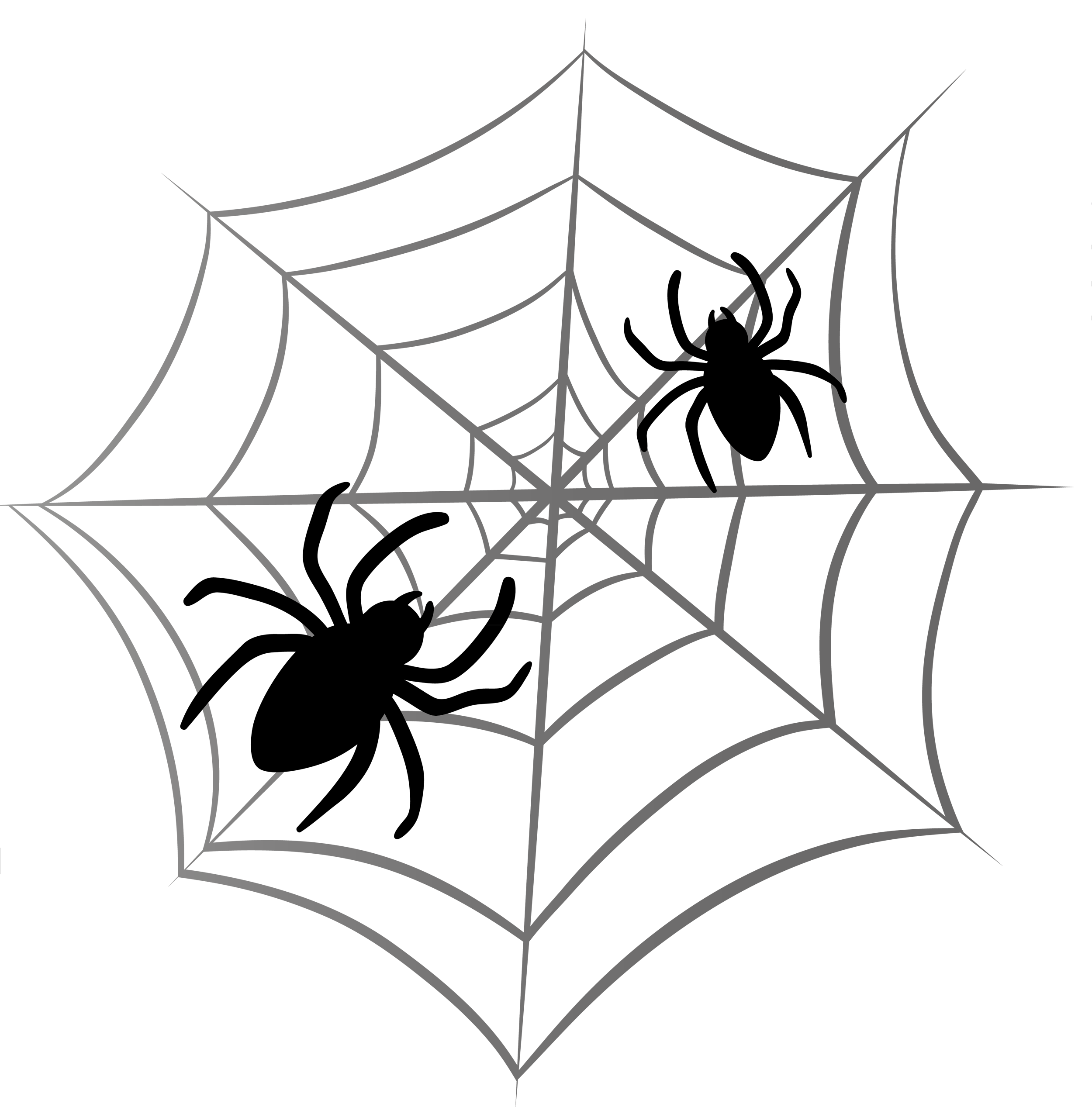 Spider Web Transparent Png 17 