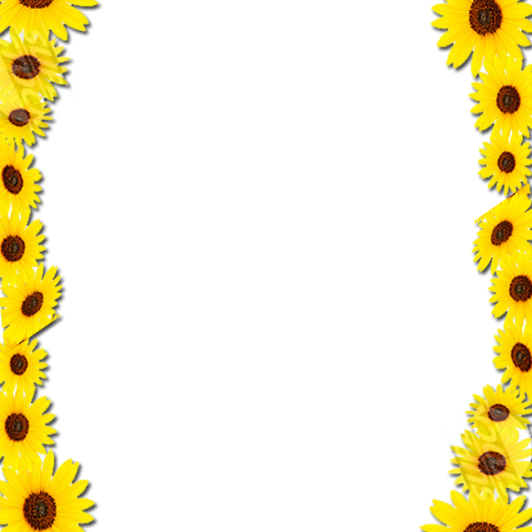 Sunflower border frame png #41034 - Free Icons and PNG Backgrounds