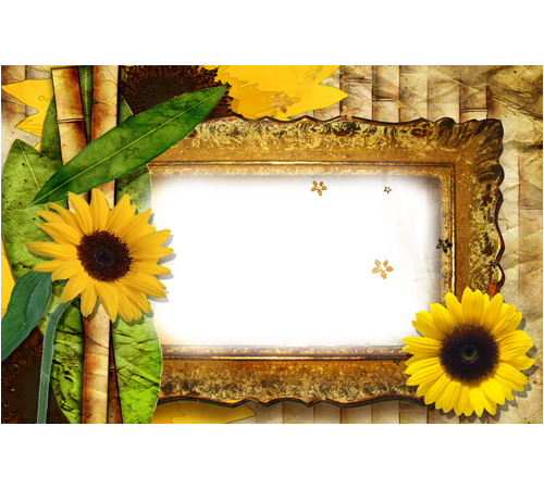 Free Free 229 Clear Background Sunflower Clipart Transparent Transparent Sunflower Border Png SVG PNG EPS DXF File