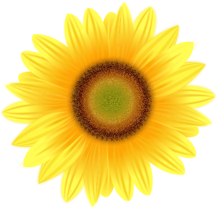 Free Free 347 Transparent Background Sunflower Clipart Free SVG PNG EPS DXF File