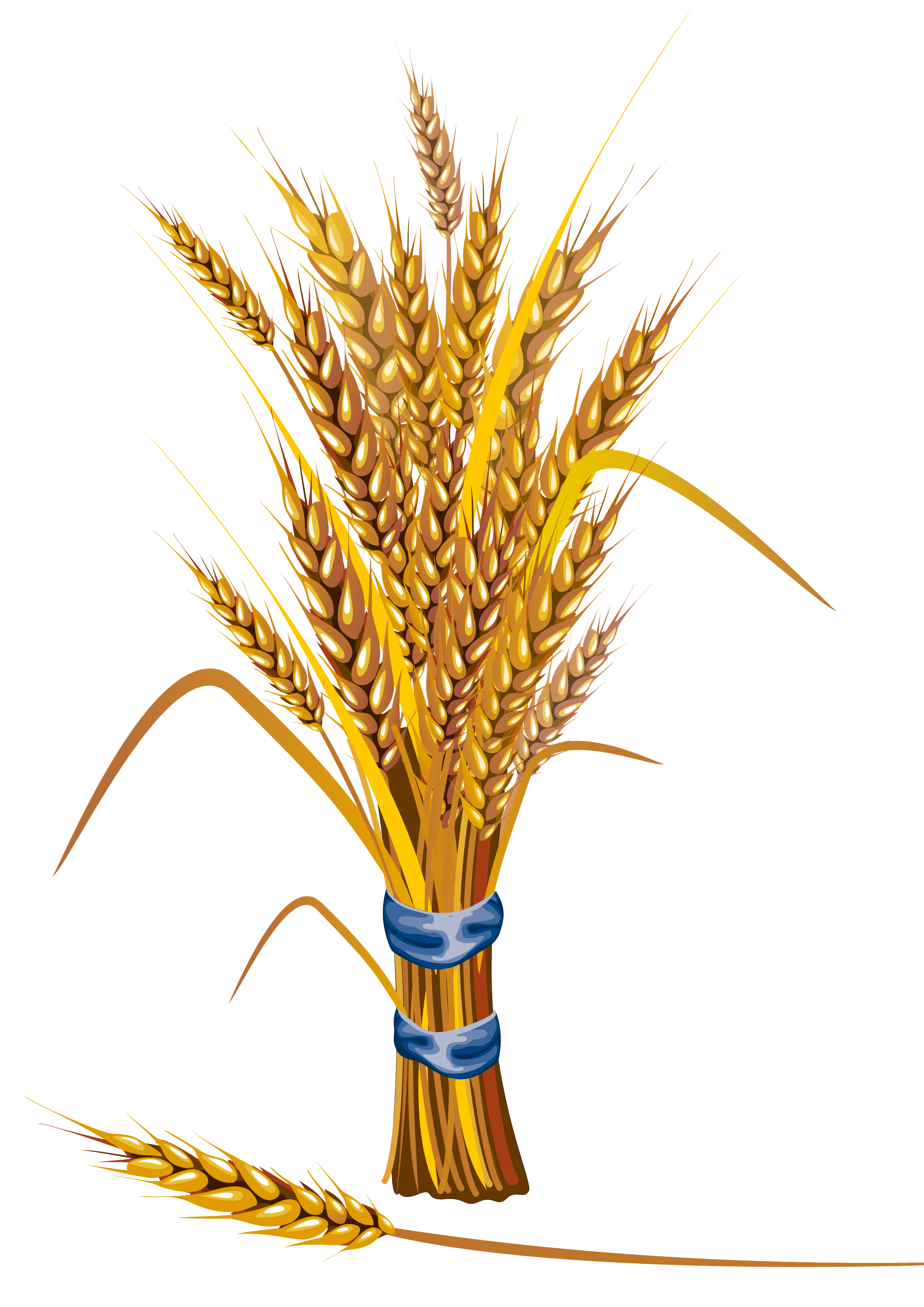 Wheat Transparent PNG Pictures - Free Icons and PNG Backgrounds