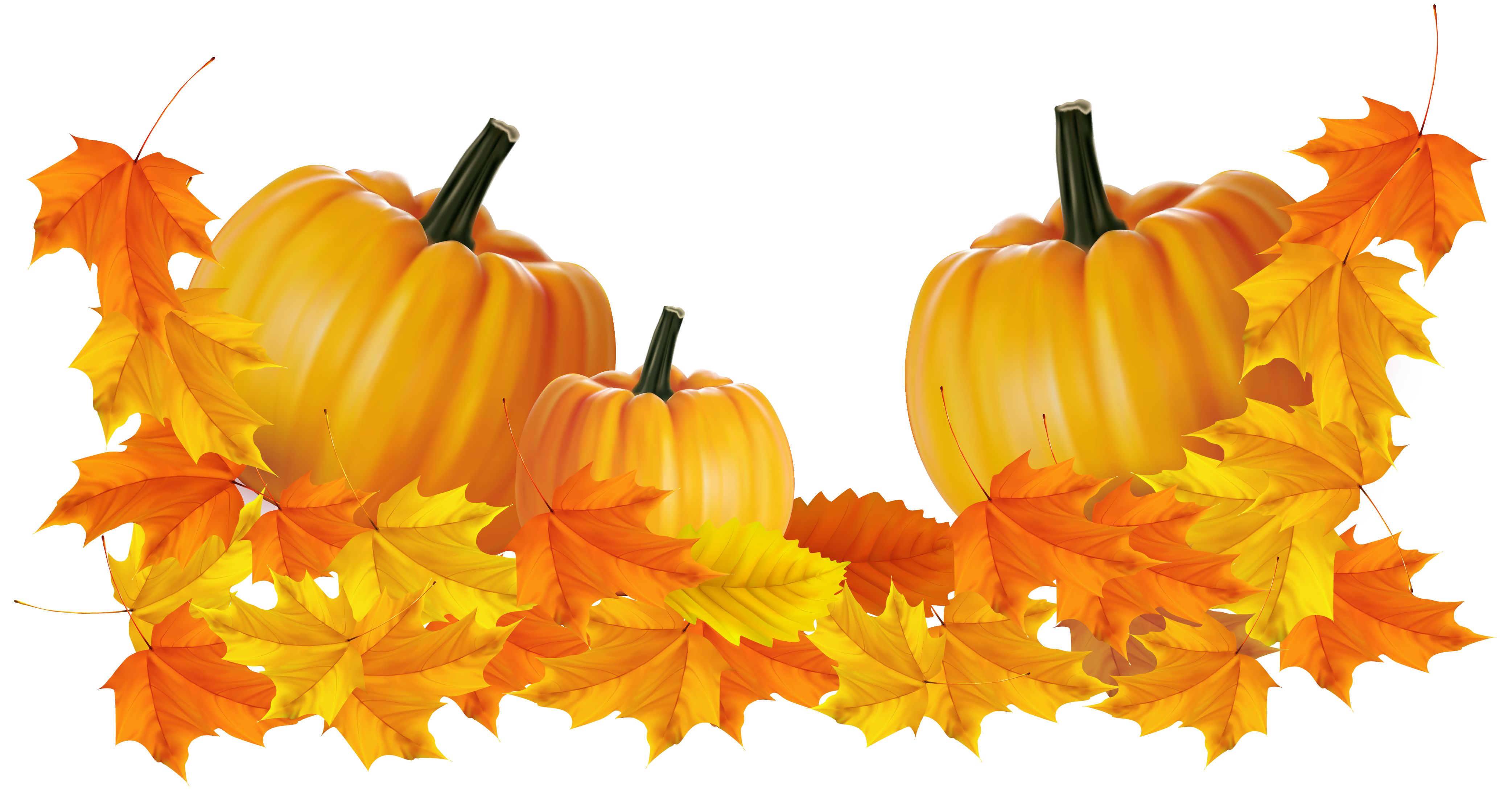 Thanksgiving PNG, Thanksgiving Transparent Background FreeIconsPNG