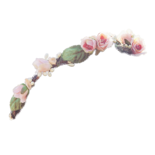 Flower Crowns Picture PNG Transparent Background, Free Download #42585