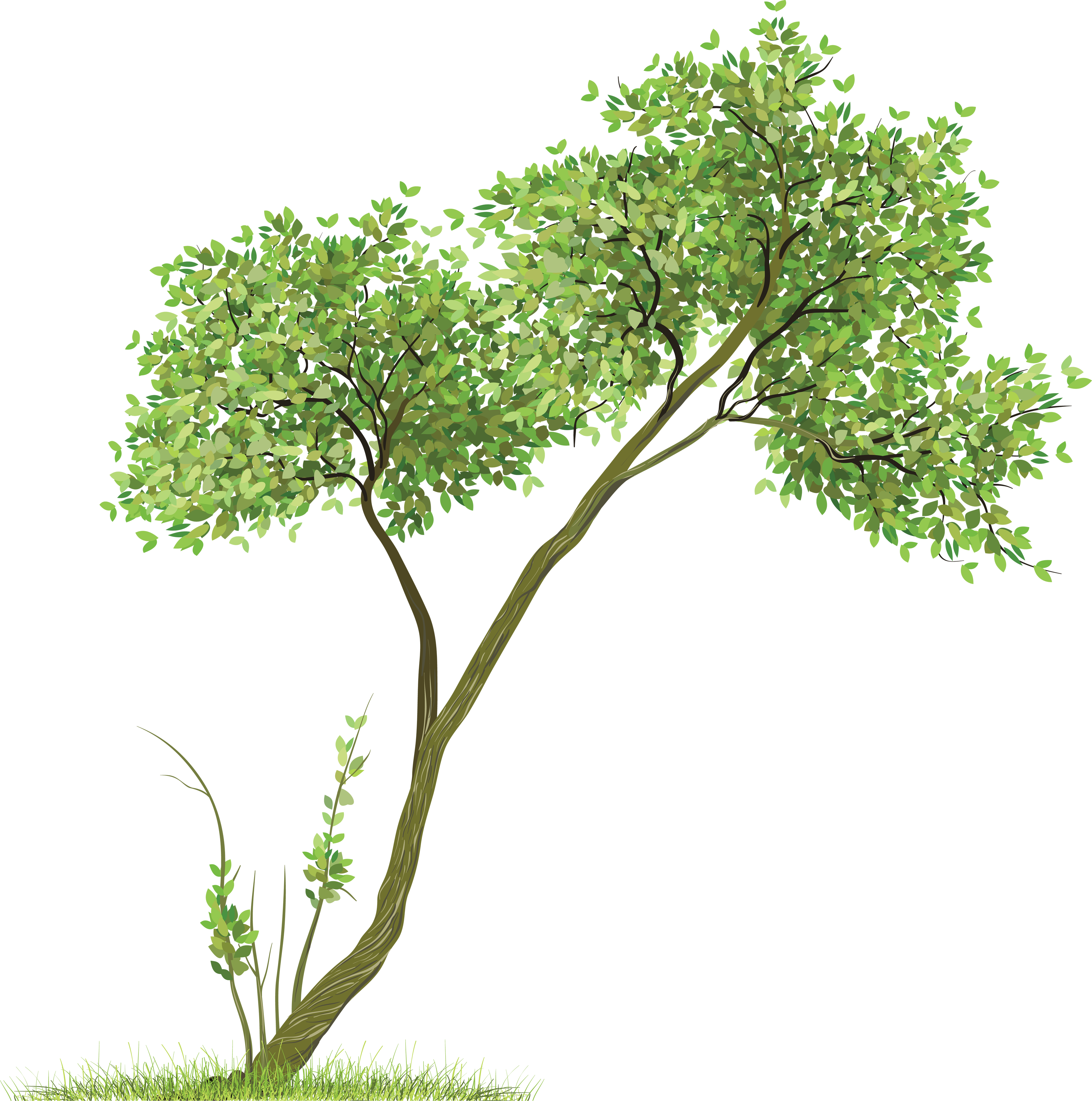 Tree Background PNG Transparent Background, Free Download #796 -  FreeIconsPNG