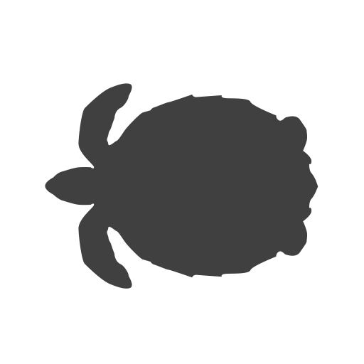 Turtle Icon Transparent Turtlepng Images And Vector Freeiconspng