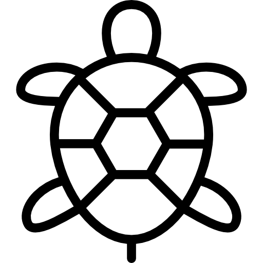 Turtle Icon Transparent Turtlepng Images And Vector Freeiconspng