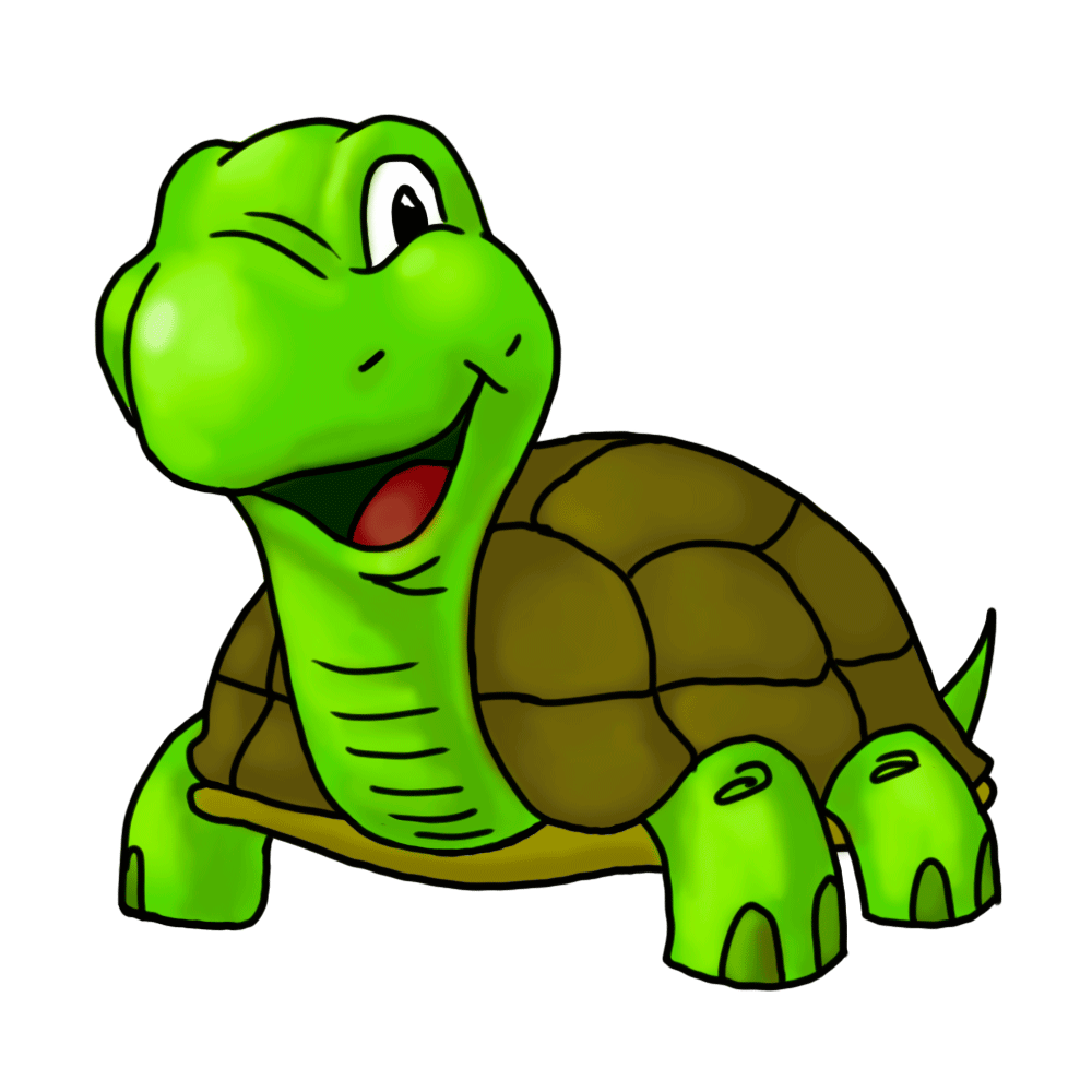 Turtle Png Turtle Transparent Background Freeiconspng