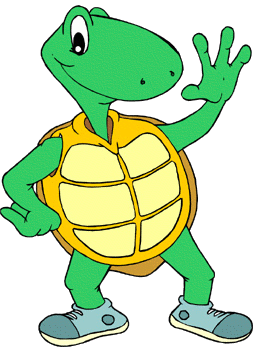 Turtle Png, Turtle Transparent Background - Freeiconspng