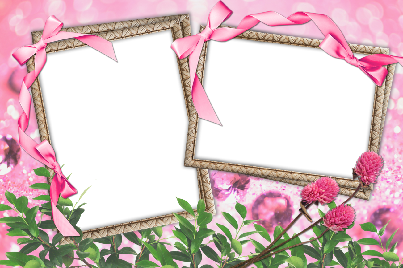 Video Frame Pattern Flowers And Table Images Png Transparent Background Free Download 47692 Freeiconspng