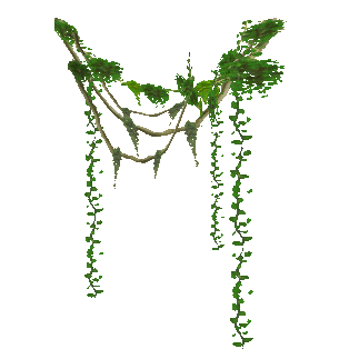 Vines PNG Transparent Background, Free Download #43670 - FreeIconsPNG