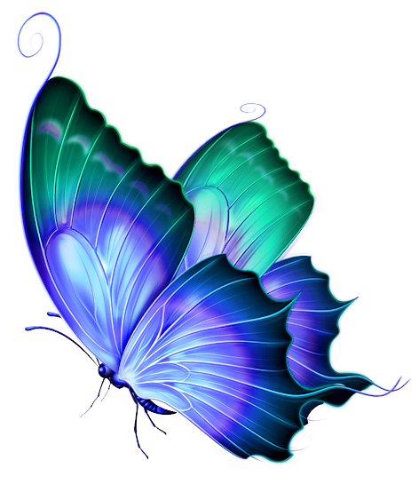 Bướm cổ là biểu tượng của sự thanh tao và độc đáo. Những hình ảnh bướm cổ sẽ làm say đắm lòng người yêu thiên nhiên. Chẳng có gì tuyệt vời hơn khi được ngắm nhìn lớp vảy ngọc bích của bướm cổ. Hãy xem hình ảnh này để cảm nhận sự tuyệt vời của chúng!