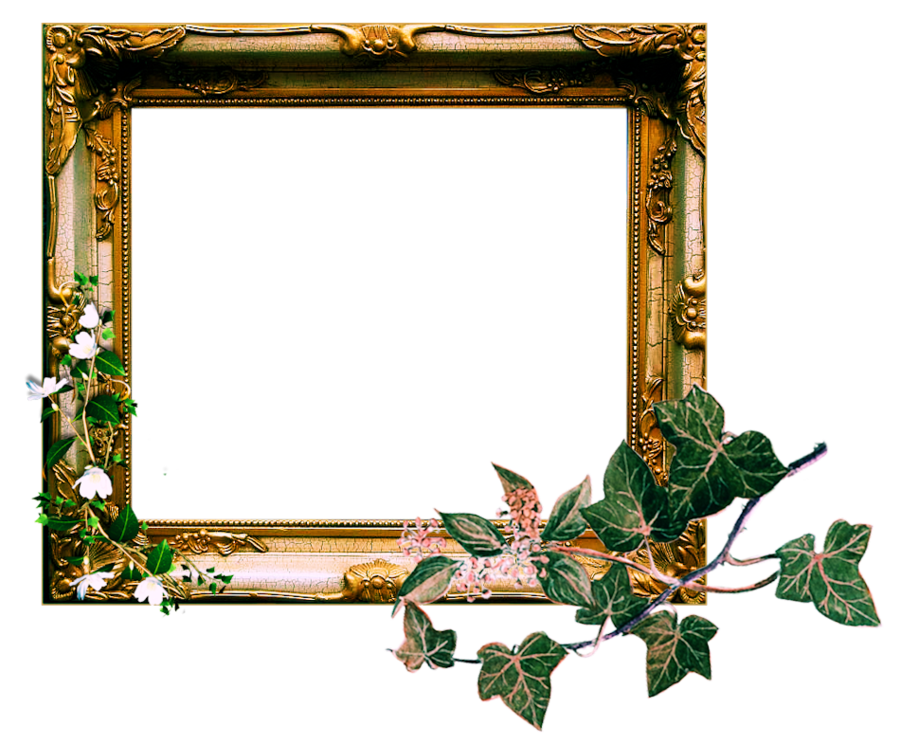 Photo Frame Transparent PNG Pictures - Free Icons and PNG Backgrounds