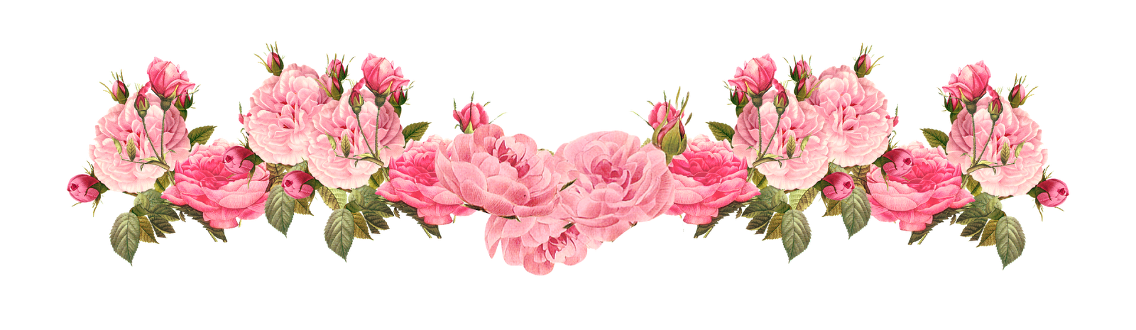 Nét đẹp của hoa hồng màu hồng được tôn vinh với hình thức đẹp mắt nhất thông qua đường viền hoa hồng hồng tươi. Mời bạn đến và chiêm ngưỡng hình ảnh về đường viền hoa hồng này để có những trải nghiệm tuyệt vời nhất về sắc đẹp tự nhiên.