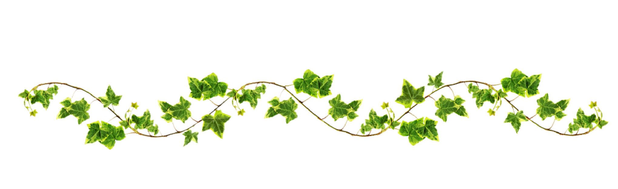 Wavy Vine Png #43649 - Free Icons and PNG Backgrounds