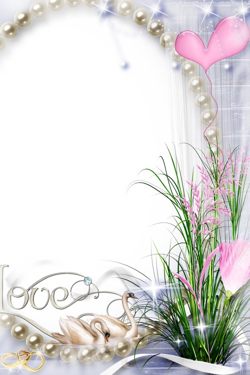 File Wedding Frame PNG Transparent Background, Free Download #35198 -  FreeIconsPNG