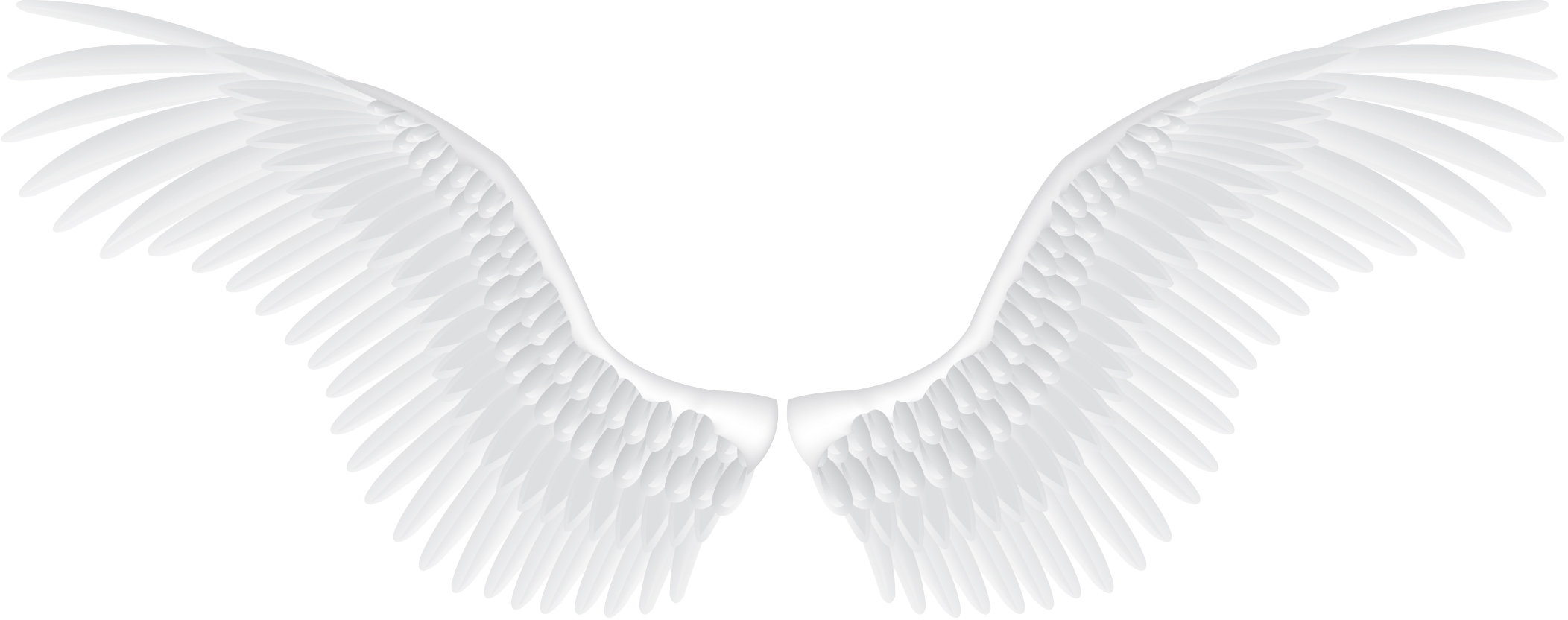 Background Hd Wings PNG Transparent Background, Free Download ...