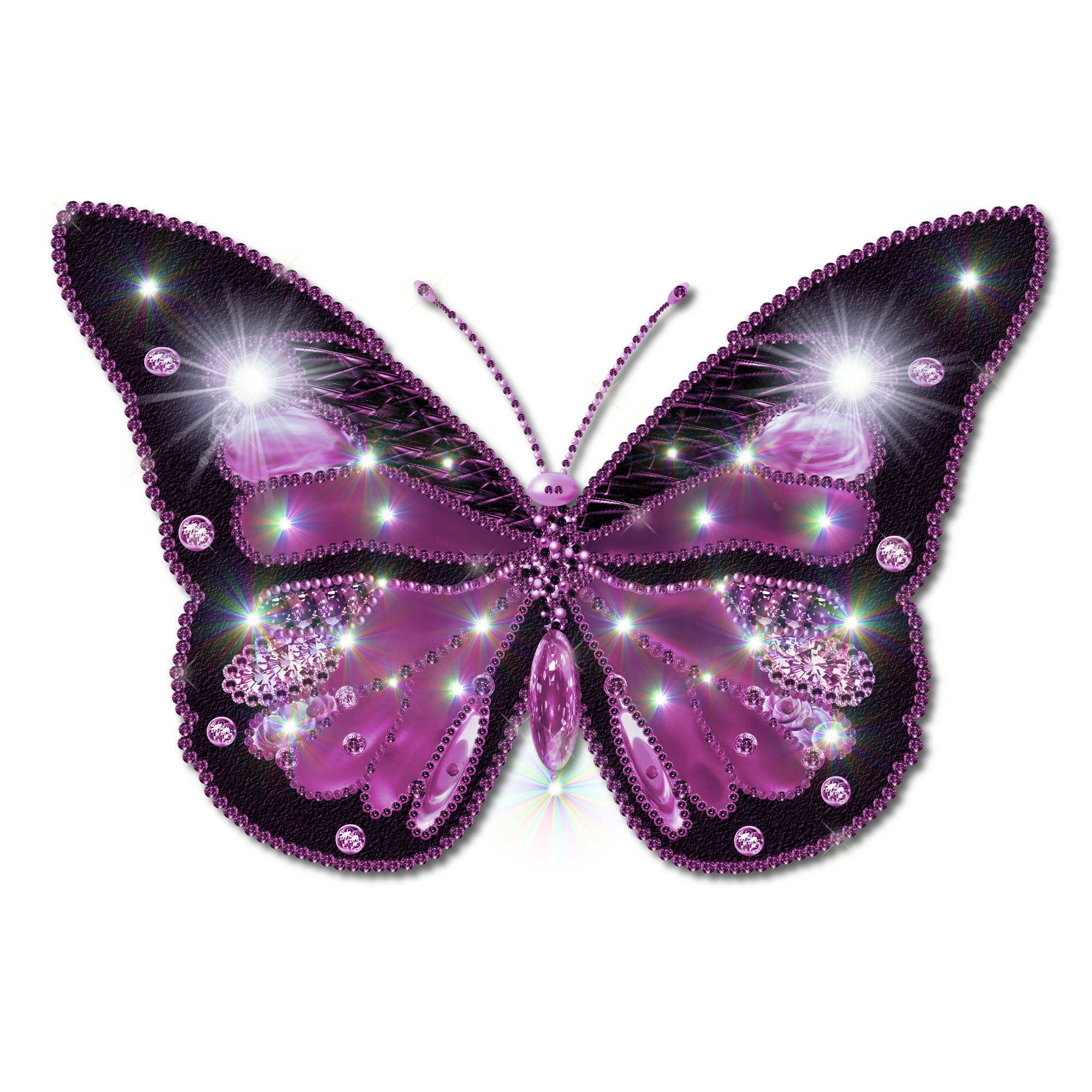 Butterflies PNG, Butterflies Transparent Background - FreeIconsPNG
